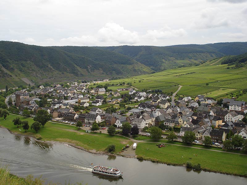 Blick über Mosel